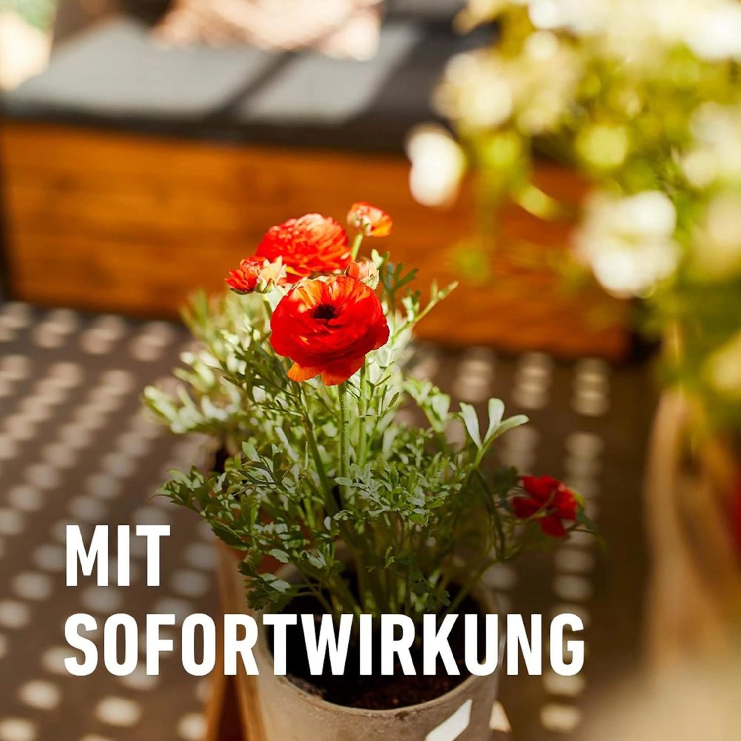 Compo Balkon- und Kübelpflanzendünger 1,2 kg_7