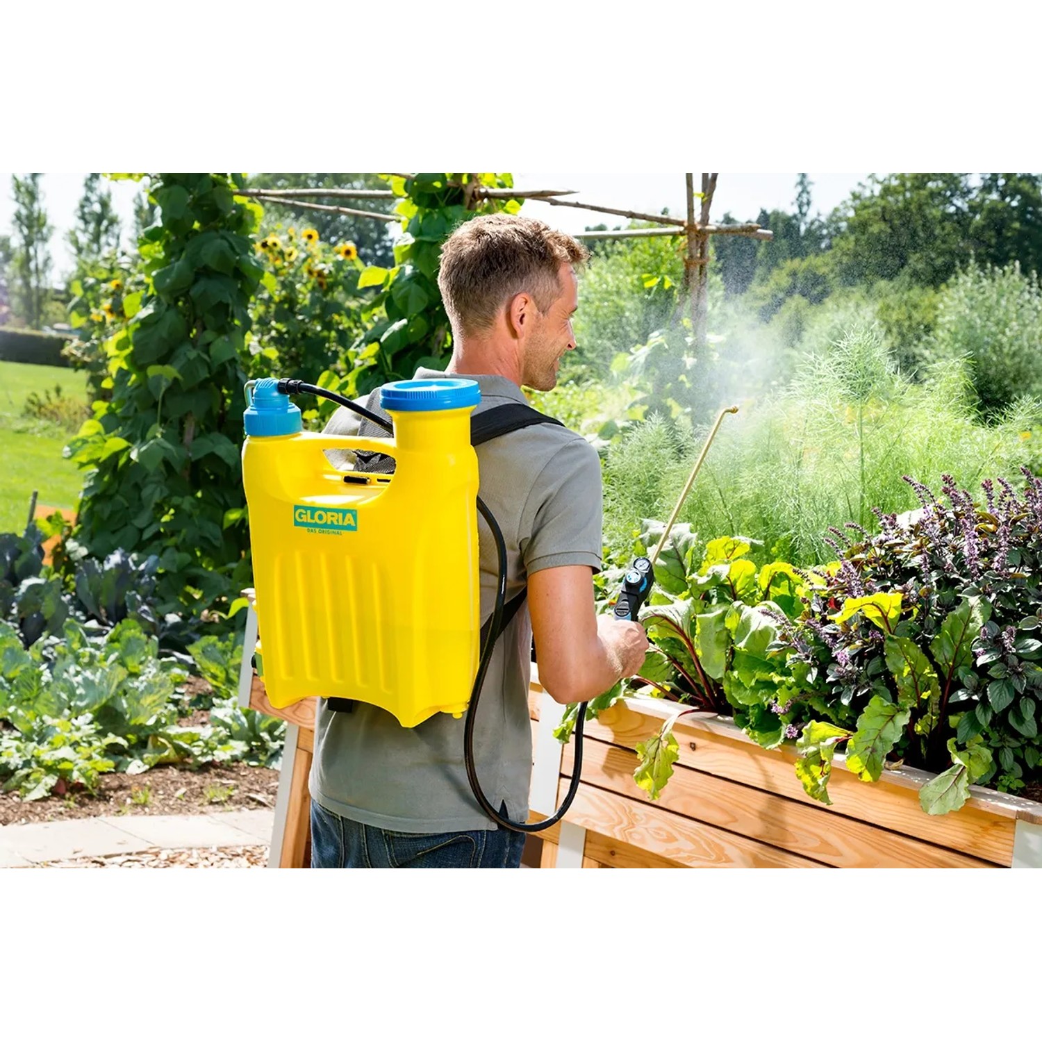 Mann nutzt Gloria Rückensprüher Hobby 1200 (6 bar) zur Pflanzenpflege im Garten.