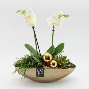 Winterliches Orchideen-Arrangement in goldener Keramik Topf-Ø ca. 35 cm