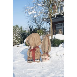 Videx Garden Winterschutz Jutesäcke (60x80cm) im Schnee, zum Schutz von Pflanzen vor Frost.