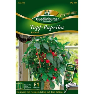 Quedlinburger Topf-Paprika Kobold Saatgut mit roter Paprika-Pflanze im Topf.