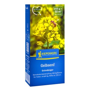 Kiepenkerl Gründünger Gelbsenf, 250g Packung mit blühendem Gelbsenf auf der Vorderseite.