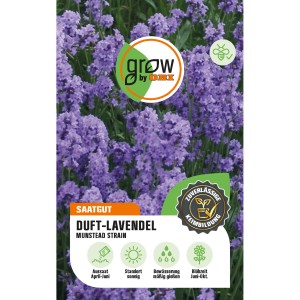 GROW by OBI Duft-Lavendel Munstead Strain, lila Blüten, Saatgut für bienenfreundlichen Garten.