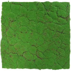 Jangal Wandpaneel Forest Green Moos, 52x52cm, für natürliche Wanddekoration.