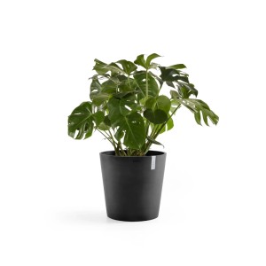 Ecopots Pflanztopf Amsterdam Dunkelgrau 50 cm