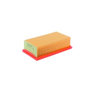 Kärcher Eco-Flachfaltenfilter für Staubsauger, gelb/rot.