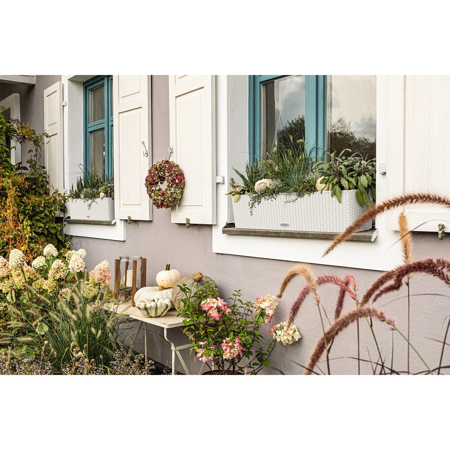 Weißer Lechuza Balconera Cottage 80 Blumenkasten mit Pflanzen auf einem Fensterbrett.