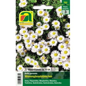 Austrosaat Saatgut Wiesengänseblümchen Weiß für naturnahe Gärten.
