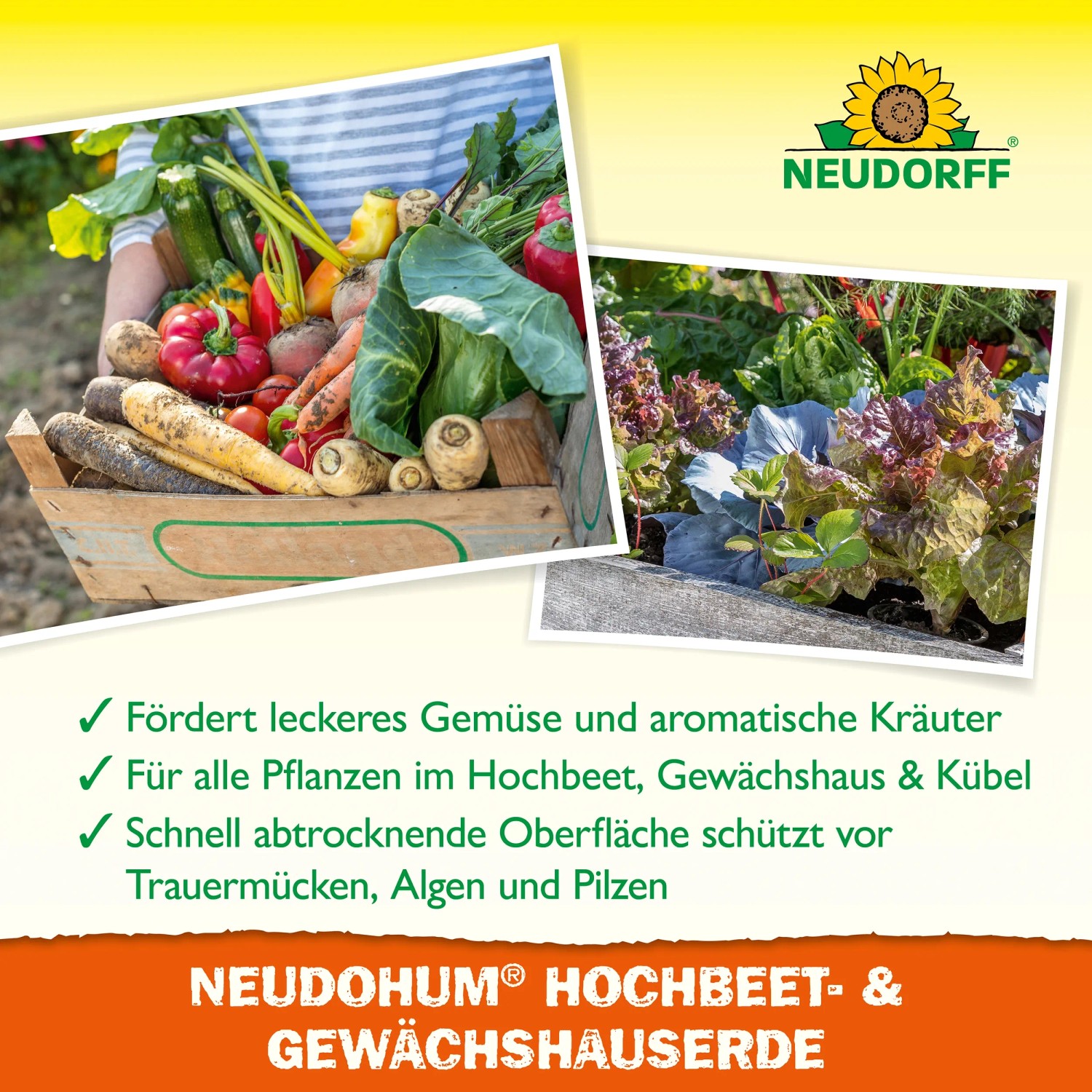 Neudorff Hochbeeterde: Kiste mit Gemüse und Kräutern, Anbau im Hochbeet und Gewächshaus.