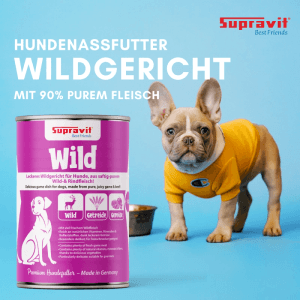 Supravit Nassfutter Wildfleisch für Hunde: Lila Dose mit Wild, Getreide, Gemüse Icons; Welpe im gelben Shirt, Futternapf.