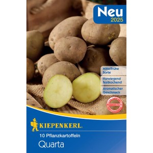 Kiepenkerl Pflanzkartoffeln Laura Quarta, 10 Stück, vorwiegend festkochend, gelbe Schale.