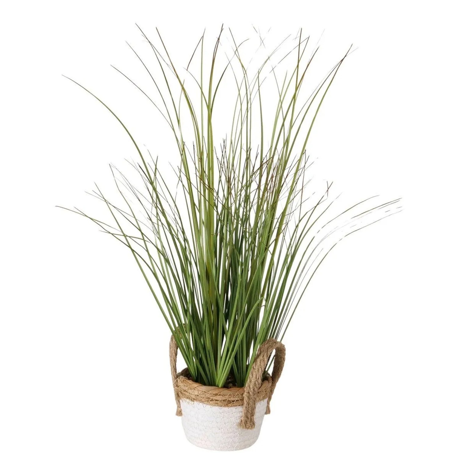 Boltze Topfpflanze Gras kaufen bei OBI