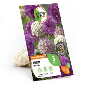 GROW by OBI Zierlauch Mischung, 5 Blumenzwiebeln im Beutel, violette und weiße Blüten.
