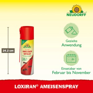 Neudorff Loxiran Ameisen-Spray, 400ml Dose zur Ameisenbekämpfung im Haus und Garten.