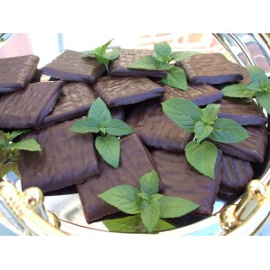 Blu Bio-Schokoladen-Minze (Mentha) im Topf, ideal zum Aromatisieren von Desserts und Cocktails.