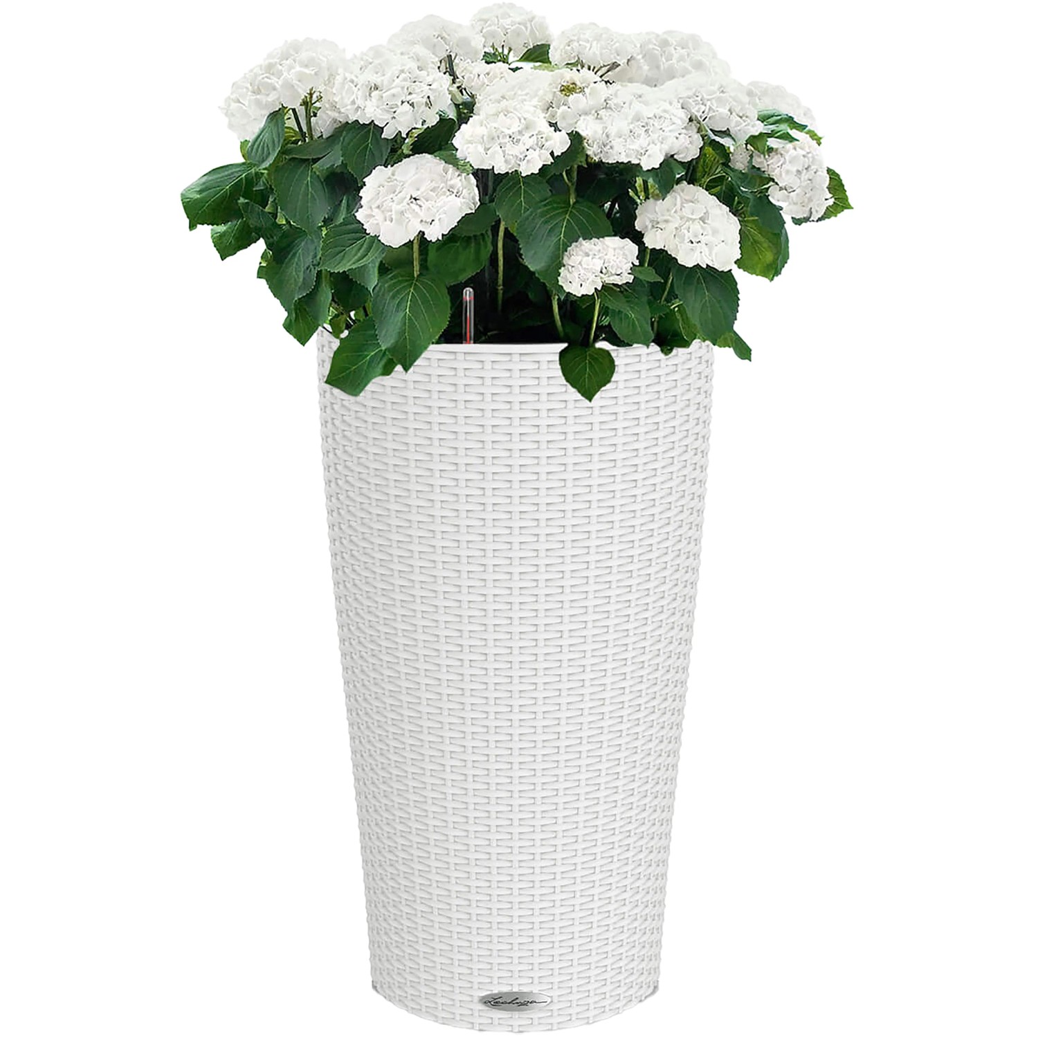 Weiße Lechuza Cilindro Cottage Pflanzsäule mit integriertem Bewässerungssystem und Hortensie.