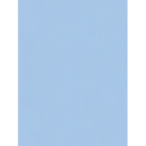 A.S. Creation Vliestapete Glatte Wand Uni Blau, detailreiche Textur.