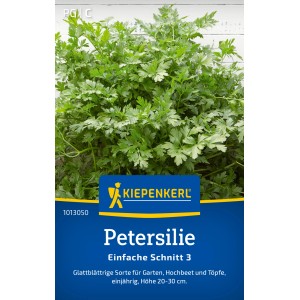 Kiepenkerl Petersilie 'Einfache Schnitt 3', glatte Petersilie im Detail.