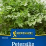 Kiepenkerl Petersilie 'Einfache Schnitt 3', glatte Petersilie im Detail.