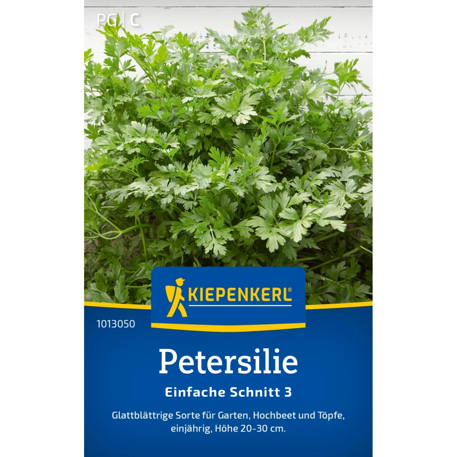 Kiepenkerl Petersilie 'Einfache Schnitt 3', glatte Petersilie im Detail.