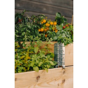 Upyard Hochbeet (80x60cm) aus Holz, bepflanzt mit Kräutern und Tomaten.