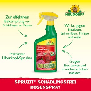 Neudorff Spruzit AF RosenSpray 750ml: Schädlingsbekämpfung für Rosen und Zierpflanzen.