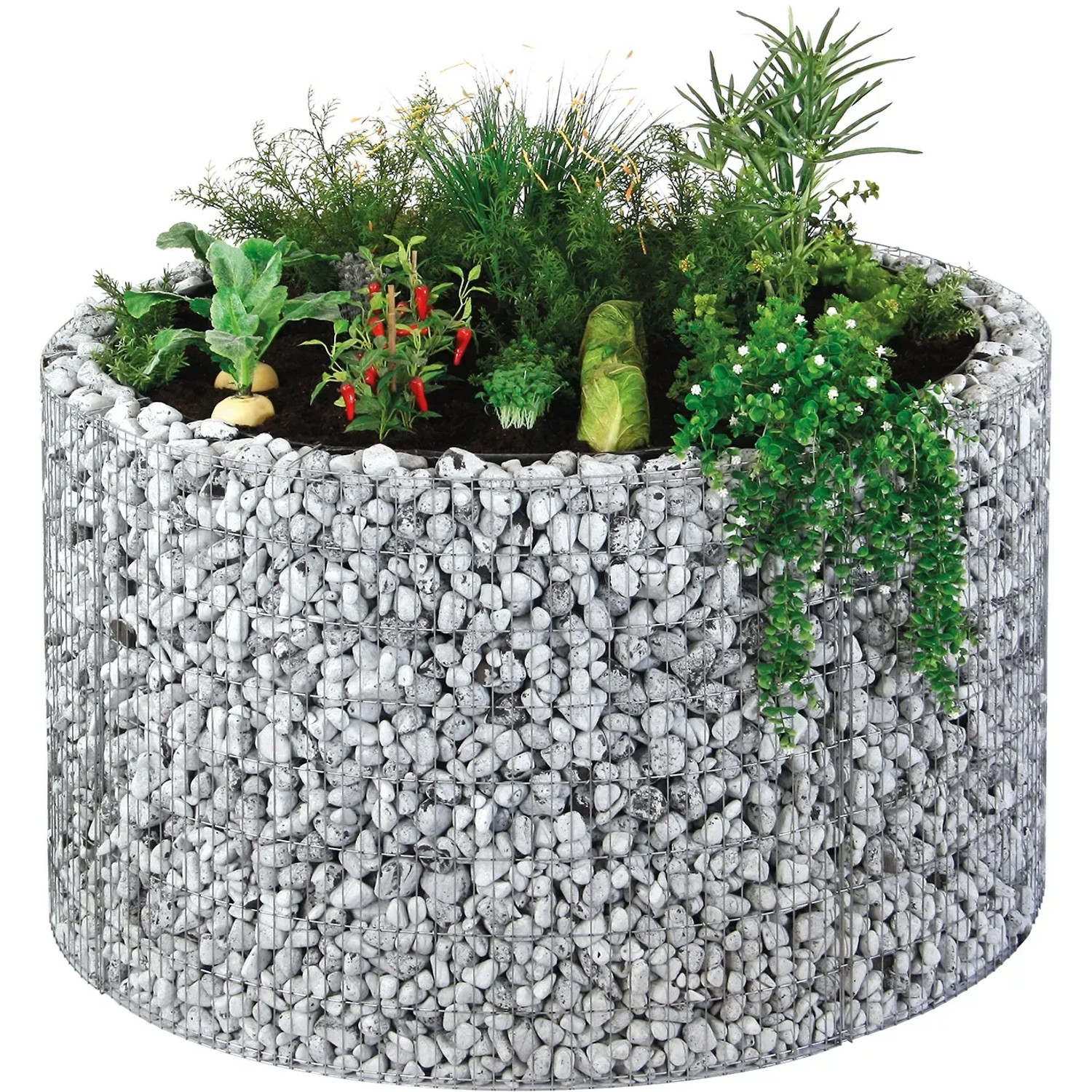 Rundes Bellissa Gabionen-Hochbeet (Ø 146 cm) befüllt mit Steinen und bepflanzt mit Gemüse und Kräutern.