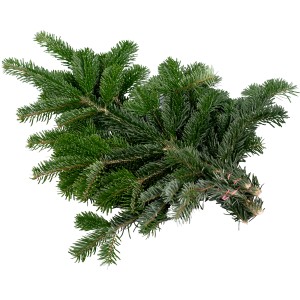Tannenzweige Nordmanntanne 500 - 600 g Bund