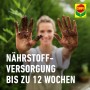 Compo Qualitäts-Blumenerde ca. 50 Prozent weniger Gewicht 1 x 25 l_6