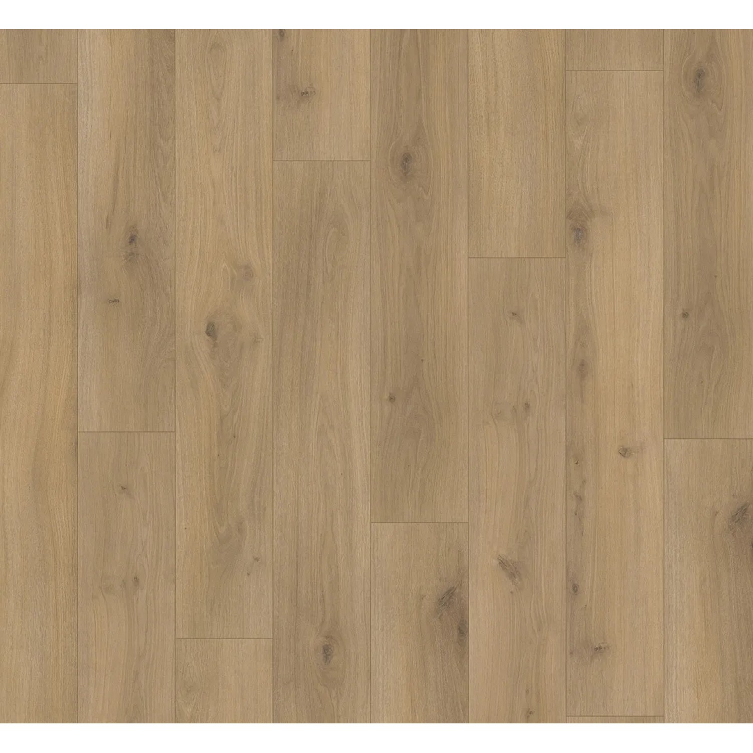 Parador Laminat Basic 400, Eiche Horizont Natur, wasserfest, 8mm stark. Holzoptik für Wohn- und Gewerberäume.