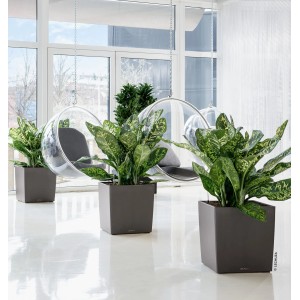 Lechuza Cube Premium Pflanzgefäß, 40 cm, Anthrazit metallic, mit Pflanzen in modernem Ambiente.