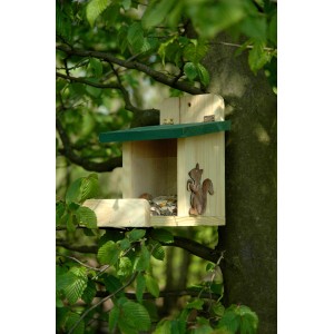 Dobar Eichhörnchen-Futterstation aus Holz mit Acrylglas-Front und grünem Dach am Baum.