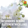 Compo Orchideendünger für üppige Blütenpracht und gesundes Wachstum der Orchideen.