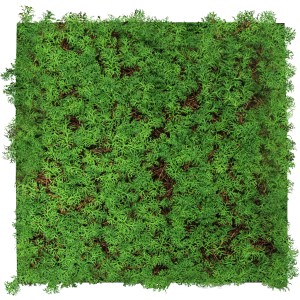 Jangal Wandpaneel Modular Wall Thuja Tea Tree, grüne Wanddekoration, 52x52 cm.
