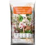 Sack GROW by OBI Orchideenerde, 5l, torffrei, für üppige Blütenpracht.