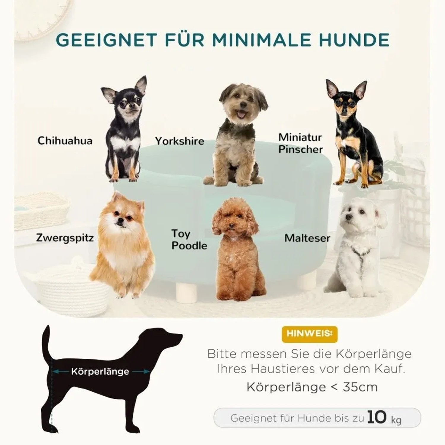 Kleine Hunde (Chihuahua, Yorkshire, Pinscher, Zwergspitz, Malteser) als Größenbeispiel für Hundesofas. Messanleitung für Hunde bis 10 kg.