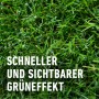 Nahaufnahme: Grüner Rasen mit COMPO Rasen-Langzeitdünger Granulat. Schneller Grüneffekt.