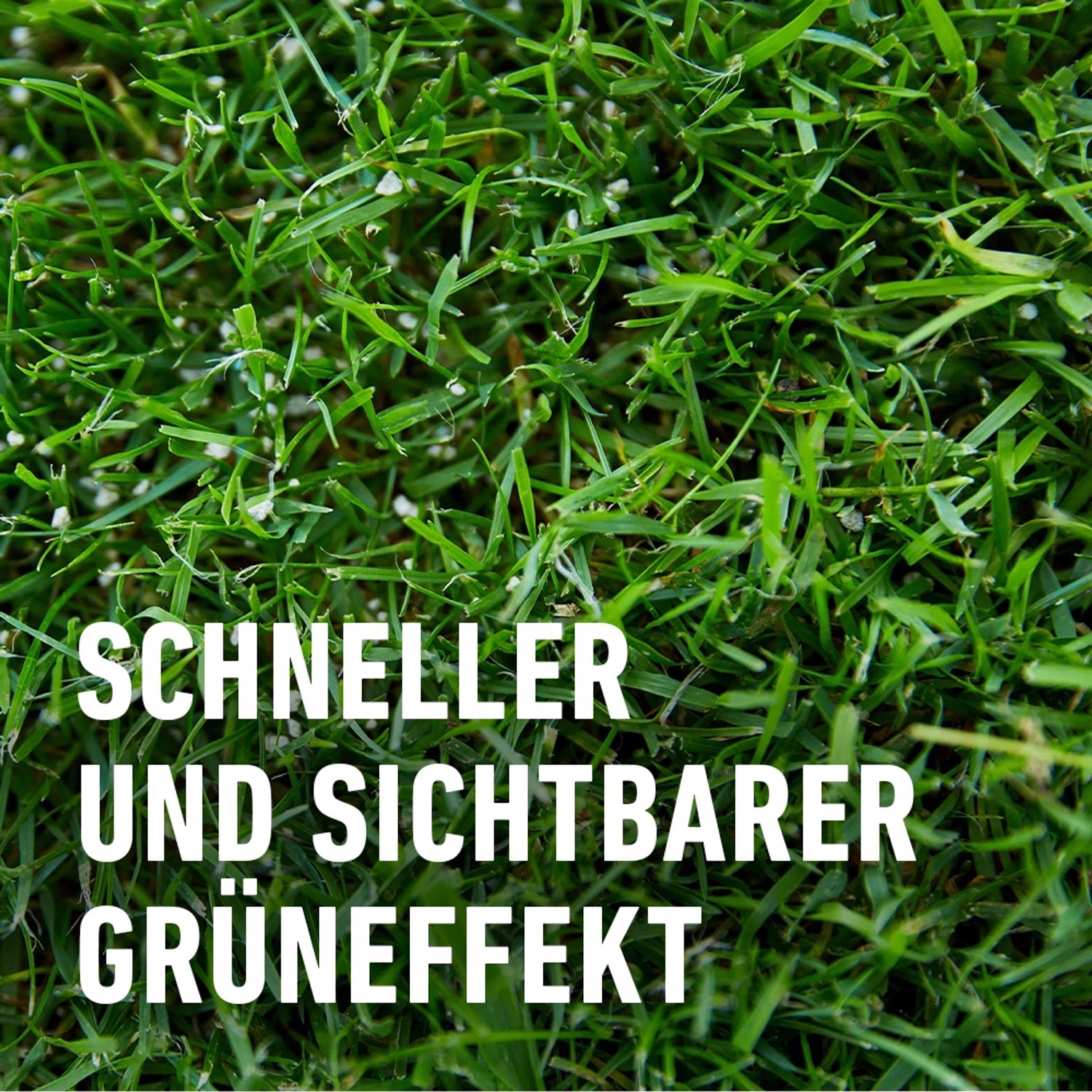 Nahaufnahme: Grüner Rasen mit COMPO Rasen-Langzeitdünger Granulat. Schneller Grüneffekt.