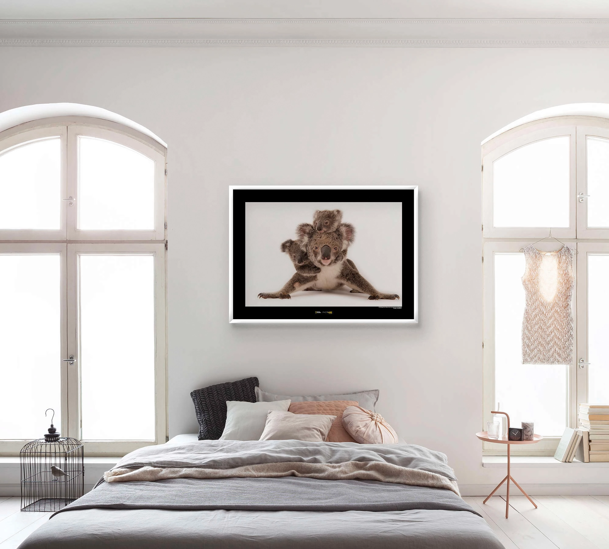 Komar Wandbild Koala 40 x 30 cm kaufen bei OBI