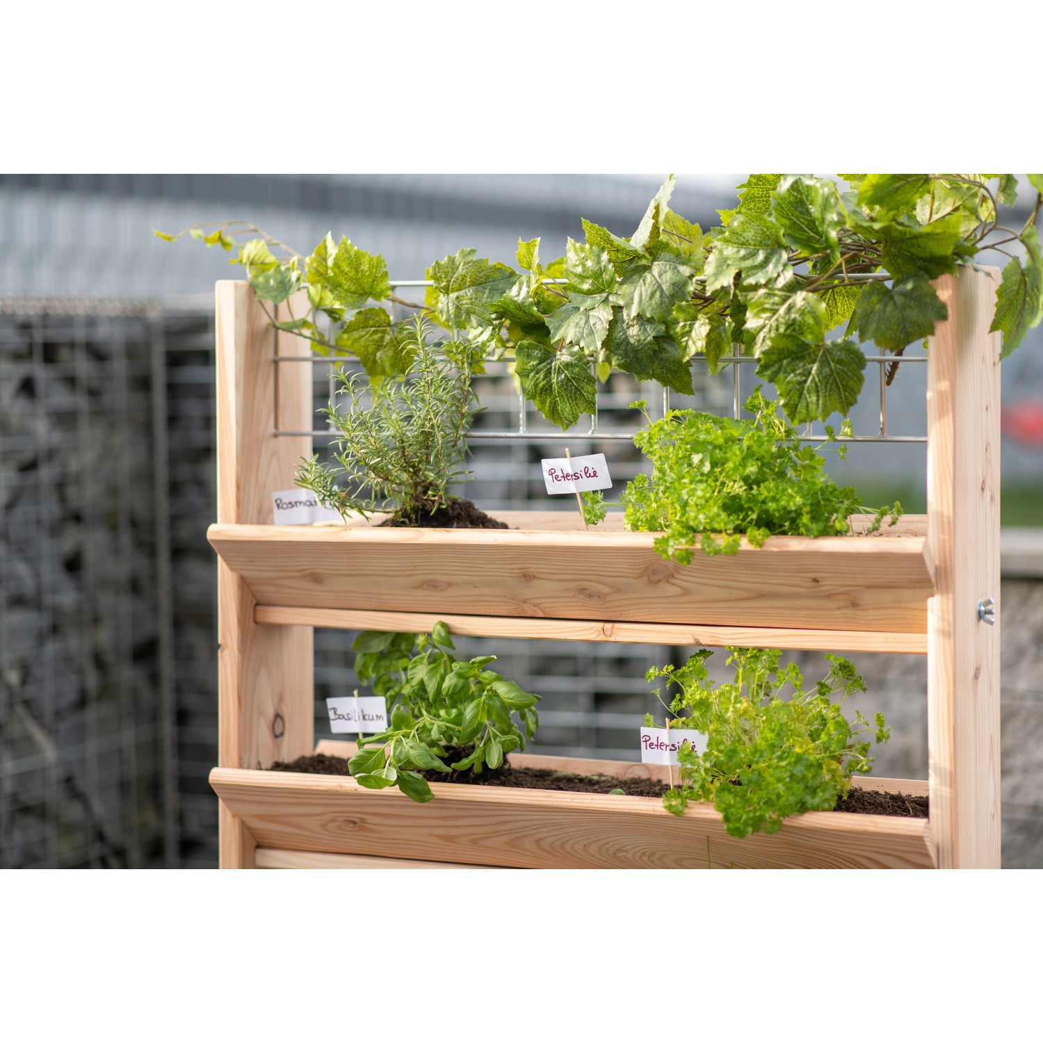 Westmann Kräuterregal Premium L mit Rankgitter, bepflanzt mit Kräutern.