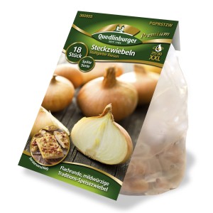 Quedlinburger Steckzwiebeln 'Stuttgarter Riesen' XXL, goldgelb und flachrund, im Beutel.