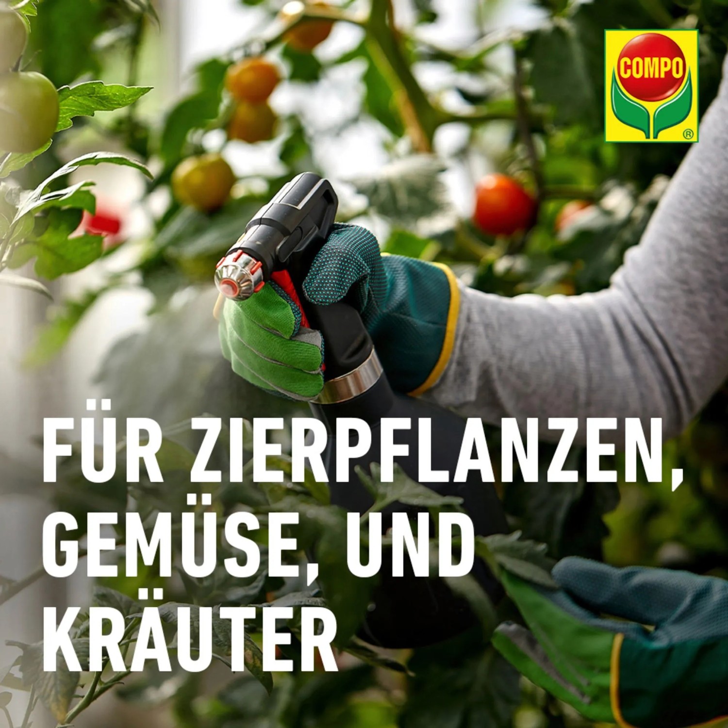 Compo Ortiva Spezial Pilz-frei 20 ml kaufen bei OBI