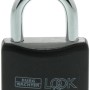 Burg Wächter Vorhangschloss Look 402, Alu-Korpus mit farbigem Kunststoffmantel.
