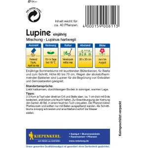 Kiepenkerl Lupine Mischung, mehrfarbig, Samenpackung für farbenfrohe Sommerblumen.