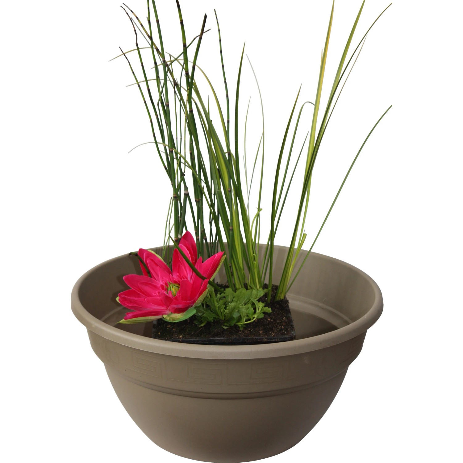 Wasserpflanzen Mix im Korb (Ø 45cm) mit roter Blüte und grünen Gräsern für den Gartenteich.