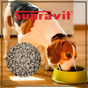 Beagle frisst Supravit Hundetrockenfutter Lamm & Kartoffeln aus Napf; daneben Futterpellets. Ideal für sensible Hunde.