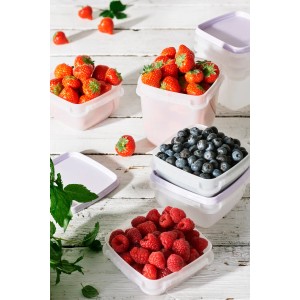 SmartStore Gefrierdosen Frost 0,75l Lavendel, 4er-Set. Vorratsdosen gefüllt mit Erdbeeren, Himbeeren und Blaubeeren.
