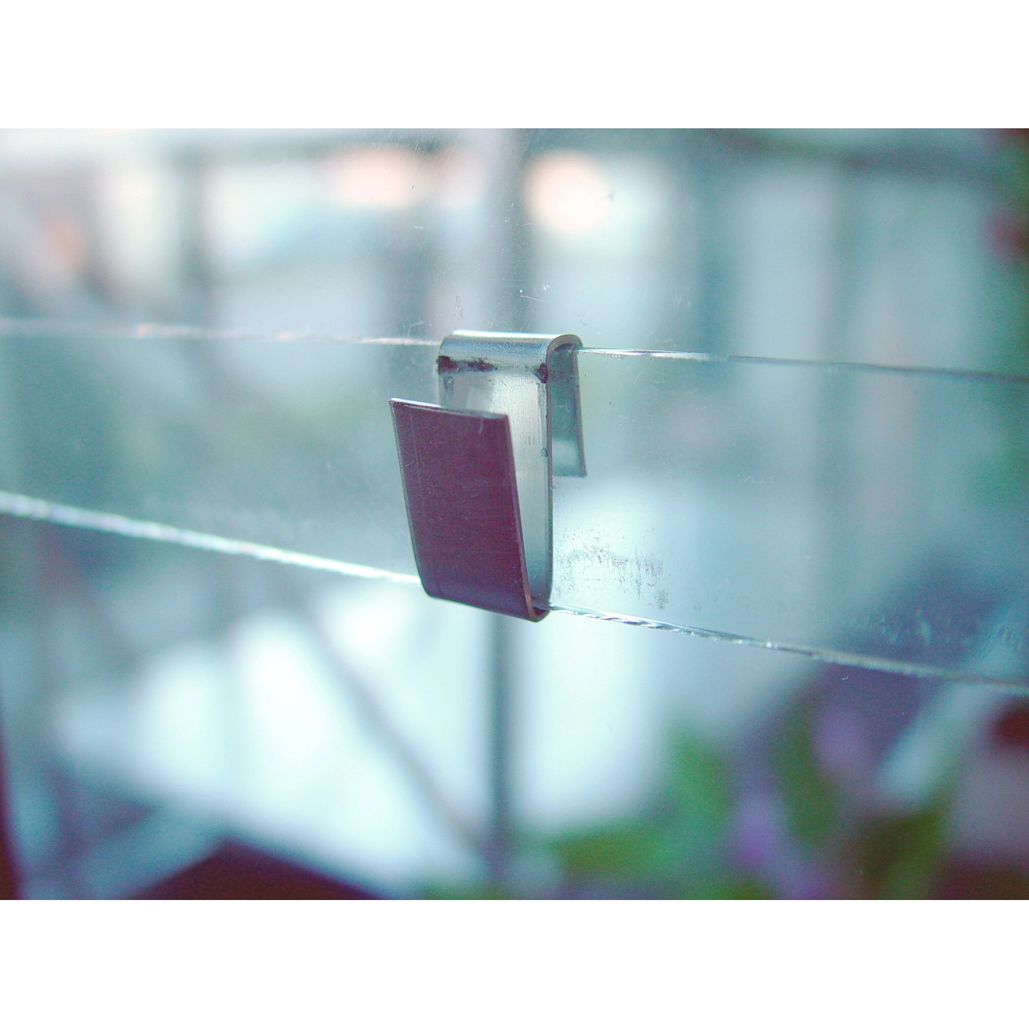 Juliana Glashalter befestigt Glasscheibe im Gewächshaus, 15er Set.