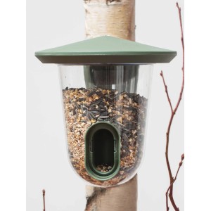 SingingFriend Vogelfutter-Spender Feedr Wild Green am Baumstamm mit Vogelfutter.