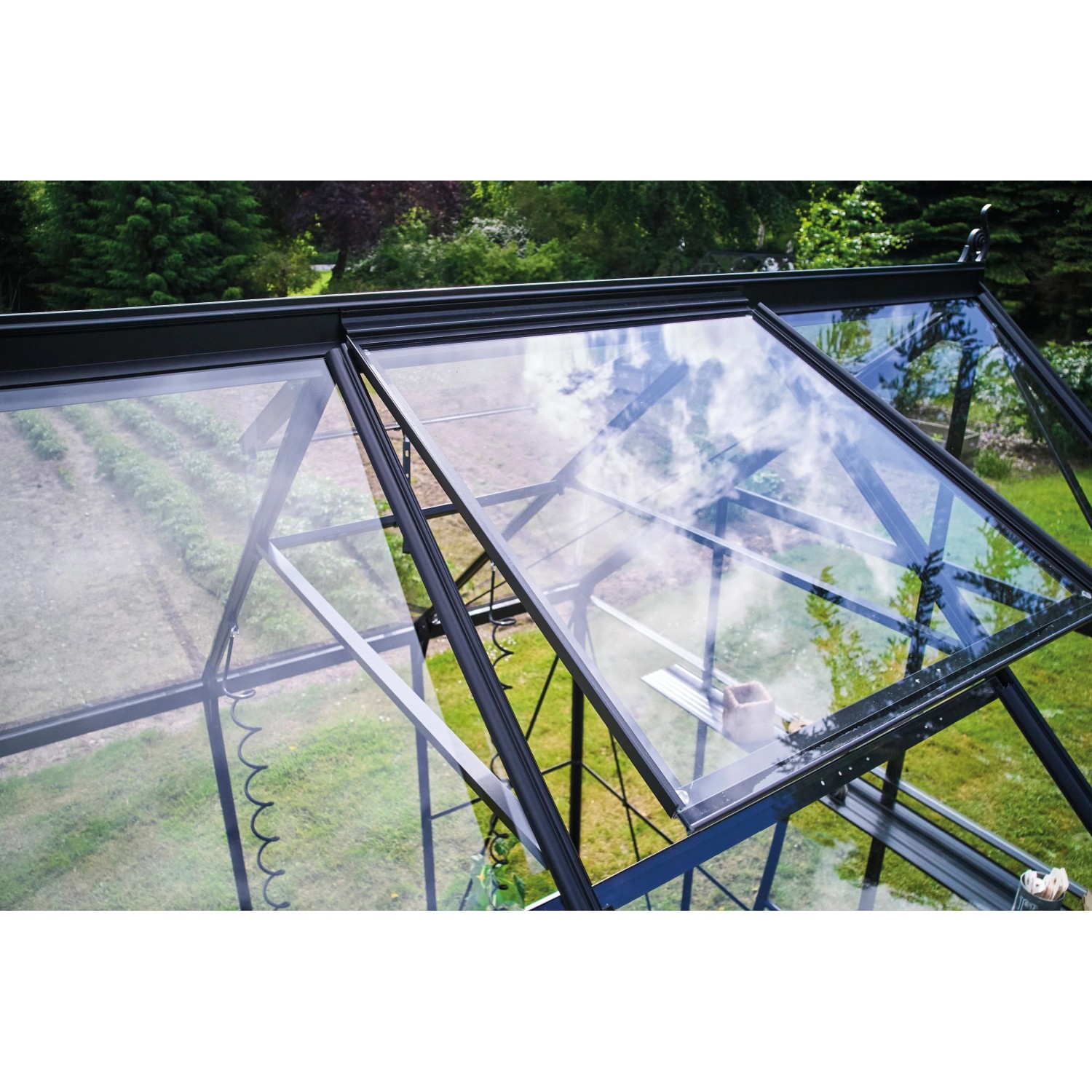 Halls Gewächshaus Icon 8 Schwarz 8,1 m²_5